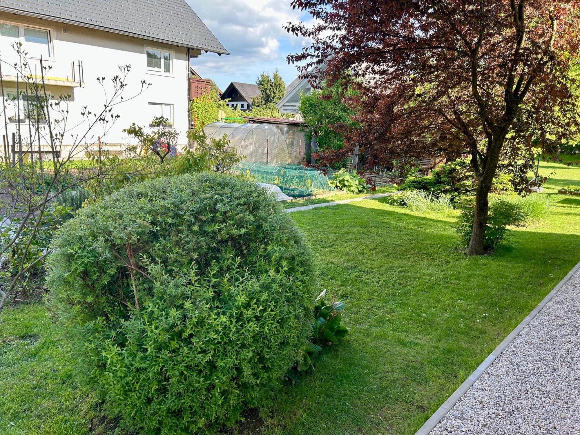 Apartment Gallus Bled Extérieur photo